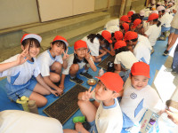 DSCN6374