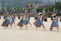 DSC00924
