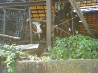 P1020007