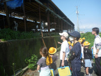 P1020009