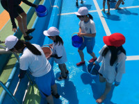 LINE_ALBUM_プール清掃_250527_8