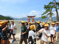 DSCN3071