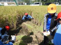 DSCN3752