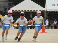 DSCN6555