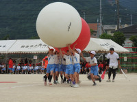 DSCN6577