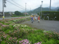 P1010976